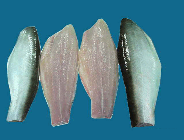 Pangasius fillets – skin on, Belly off, Fat on, STTP